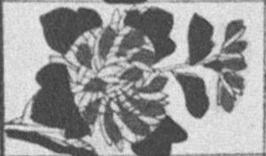 Datei:SPKW-Q15711-JAP sheet 290-k29-JAP sheet 290-einzelkarte.jpg