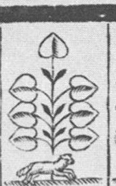 Leaves-7 (German)