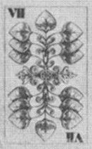 Leaves-7 (German)