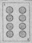 Coins-8 (Spanish)