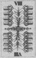 Acorns-8 (German)