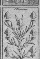 Datei:SPKW-Q14656-Cary Collection 4-page 0258-30-frz-pik-7.jpg