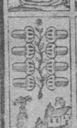 Acorns-8 (German)