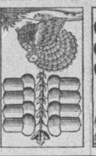 Datei:SPKW-Q13802-Cary Collection 4-page 0214-15-dt-eichel-8.jpg