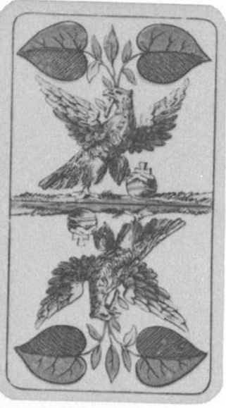 Datei:SPKW-Q14806-Cary Collection 3-page 0297-01-dt-gruen-daus.jpg