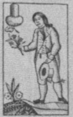 Acorns-Ober (German)
