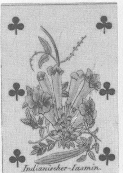 Datei:SPKW-Q13541-Cary Collection 3-page 0042-06-frz-kreuz-6.jpg