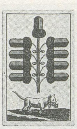 Datei:SPKW-Q29886-bnm-scan-s057l-z01s06-dt-eichel-9.jpg