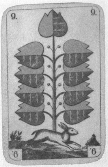 Datei:SPKW-Q14861-Cary Collection 3-page 0310-06-dt-gruen-9.jpg