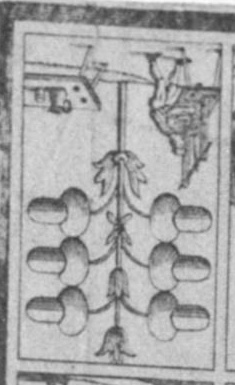 Datei:SPKW-Q13803-Cary Collection 4-page 0215-01-dt-eichel-6.jpg