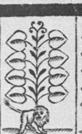 Leaves-8 (German)