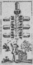 Datei:SPKW-Q15327-GER sheet 224-k24-GER sheet 224-dt-eichel-7.jpg