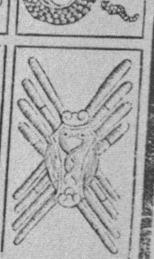 Datei:SPKW-Q15772-Cary Collection 4-page 0313-24-pt-stab-8.jpg