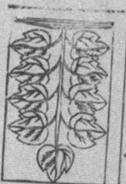 Datei:SPKW-Q15353-Cary Collection 4-page 0289-13-dt-gruen-9.jpg