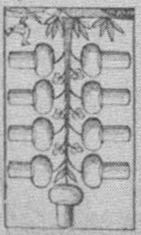 Datei:SPKW-Q15446-HUN sheet 277-k27-HUN sheet 277-dt-eichel-9.jpg