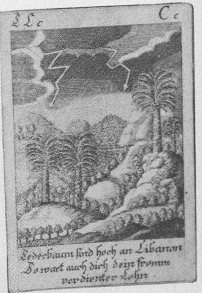 Datei:SPKW-Q15124-Cary Collection 3-page 0358-11-einzelkarte.jpg