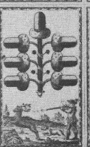 Datei:SPKW-Q15358-Cary Collection 4-page 0294-26-dt-eichel-7.jpg