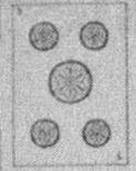 Coins-5 (Spanish)