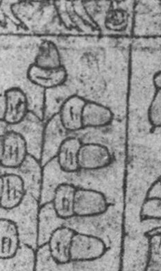 Datei:SPKW-Q15347-Cary Collection 4-page 0287-11-einzelkarte.jpg