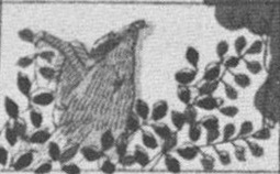 Datei:SPKW-Q15711-JAP sheet 290-k42-JAP sheet 290-einzelkarte.jpg