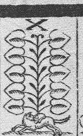 Leaves-10 (German)