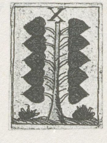 Datei:SPKW-Q29921-bnm-scan-s083r-z02s04-dt-gruen-10.jpg