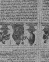 Datei:SPKW-Q14667-Cary Collection 4-page 0263-31-einzelkarte.jpg
