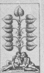 Datei:SPKW-Q15361-Cary Collection 4-page 0296-07-dt-gruen-9.jpg