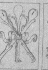 Datei:SPKW-Q14641-Cary Collection 4-page 0251-19-es-stab-3.jpg