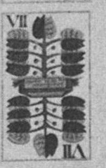 Datei:SPKW-Q13818-Cary Collection 4-page 0222-41-dt-gruen-7.jpg