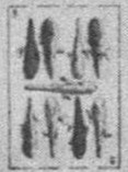 Datei:SPKW-Q15873-SPA sheet 299-k46-SPA sheet 299-es-stab-9.jpg