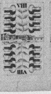 Datei:SPKW-Q15443-Cary Collection 4-page 0304-31-dt-eichel-8.jpg