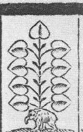 Datei:SPKW-Q13874-Cary Collection 4-page 0230-01-dt-gruen-9.jpg