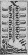 Datei:SPKW-Q15327-GER sheet 224-k18-GER sheet 224-dt-eichel-10.jpg