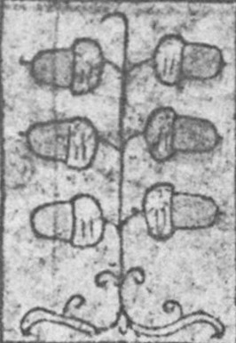 Datei:SPKW-Q15347-GER sheet 245-k09-GER sheet 244-dt-eichel-6.jpg