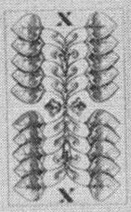 Datei:SPKW-Q13842-AUS sheet 64-k28-AUS sheet 64-dt-gruen-10.jpg