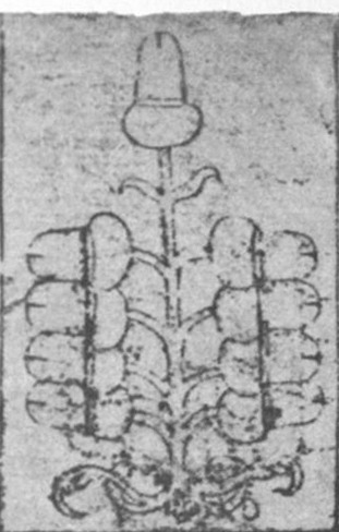 Datei:SPKW-Q15335-GER sheet 232-k02-GER sheet 232-dt-eichel-9.jpg