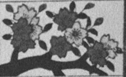 Datei:SPKW-Q15711-JAP sheet 290-k24-JAP sheet 290-einzelkarte.jpg
