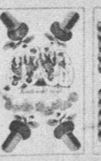 Datei:SPKW-Q13818-Cary Collection 4-page 0222-53-dt-eichel-daus.jpg