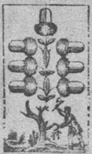 Datei:SPKW-Q15330-GER sheet 227-k34-GER sheet 227-dt-eichel-7.jpg