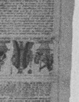Datei:SPKW-Q14667-Cary Collection 4-page 0263-32-einzelkarte.jpg