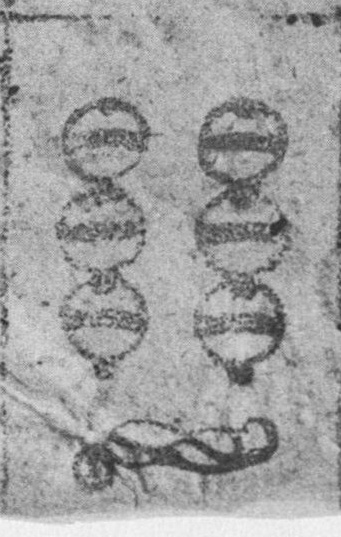 Datei:SPKW-Q15346-Cary Collection 4-page 0286-11-dt-schellen-6.jpg