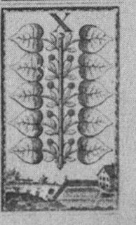 Datei:SPKW-Q15358-Cary Collection 4-page 0294-18-dt-gruen-10.jpg