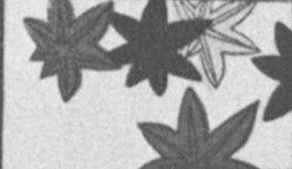 Datei:SPKW-Q15711-JAP sheet 290-k17-JAP sheet 290-einzelkarte.jpg
