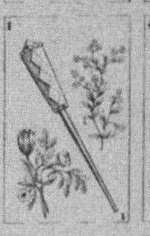 Datei:SPKW-Q15872-Cary Collection 4-page 0316-15-es-stab-1.jpg