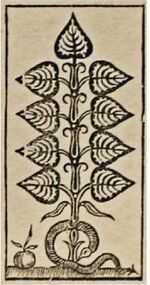 Leaves-9 (German)