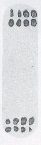 Datei:SPKW-Q3885-t238-pic 2026-09-12 164730-l-z4-s2-einzelkarte.jpg