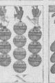 Thumbnail for version as of 19:05, 19 September 2026