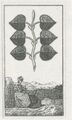 Thumbnail for version as of 17:17, 27 September 2026