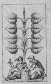 Leaves-8 (German)